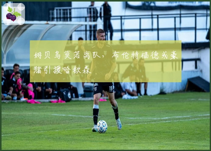 姆贝乌莫若离队，布伦特福德或豪赌引援哈钦森